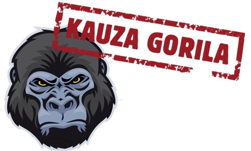 Čo priniesla kauza Gorila vo svete internetu?